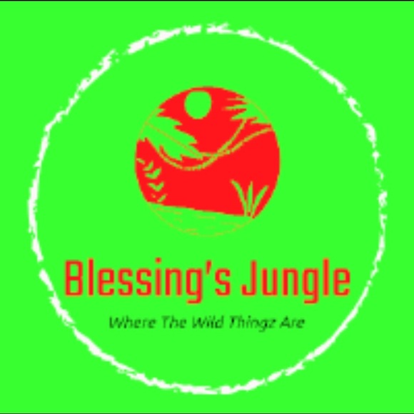blessingsjungle